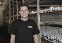 Tradition trifft Zukunft: Gerber Champignons AG setzt auf Kontinuität und Innovation Urs Trachsel Geschäftsführer Gerber Champignons AG